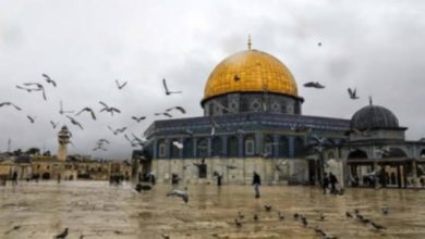 سكان شرقي المدينة يأملون في استمرار الهدوء وتخفيف التواجد الأمني