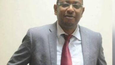 مشكلة المعايير المحاسبية في السودان: التحديات والآثار رؤية