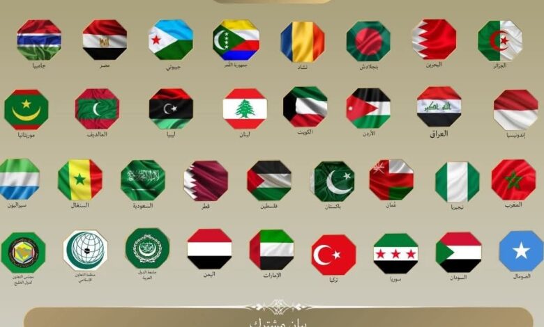 بيان مشترك صادر عن وزراء خارجية ٣١ دولة عربية بيان مشترك صادر عن وزراء خارجية ٣١ دولة عربية
