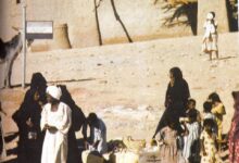 قرية المالكي.. حكاية النوبة قبل التهجير وأسرار الحياة بين النيل والجبال