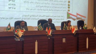 أصحاب العمل السوداني : عقبات في طريق تحقيق التكامل الاقتصادي بين مصر والسودان