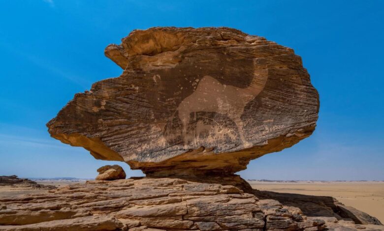 معرض “الصقور والصيد السعودي” الدولي 2025 يستعرض صورة متكاملة عن منطقة حِمى الثقافية بنجران