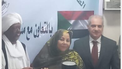 القنصل العام بأسوان يشيد بمواقف الدولة المصرية المصرية اتجاة الأخوة الشقاء السودانين آثار الحرب