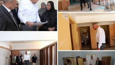 محافظ أسوان فى جولة مفاجئة للمدارس.. ويعفى مديرة مدرسة اللغات المتميزة من منصبها بسبب تدني مستوى الجاهزية