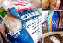 الطب البيطرى يضبط 260 كجم لحوم فاسدة متنوعة داخل مطعم وتحرير 2 محضر للواقعة بأسوان