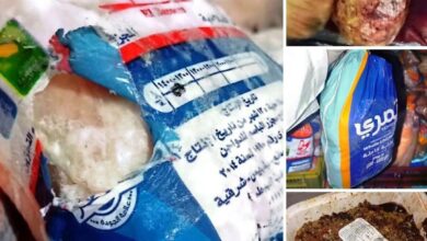 الطب البيطرى يضبط 260 كجم لحوم فاسدة متنوعة داخل مطعم وتحرير 2 محضر للواقعة بأسوان