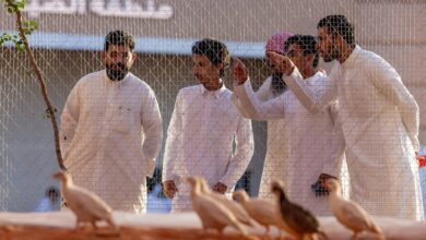 معرض الصقور والصيد السعودي الدولي 2025 يضيف “السفاري” للتعريف بالحيوانات المهددة بالانقراض معرض الصقور والصيد السعودي الدولي 2025 يضيف “السفاري” للتعريف بالحيوانات المهددة بالانقراض