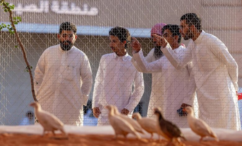 معرض الصقور والصيد السعودي الدولي 2025 يضيف “السفاري” للتعريف بالحيوانات المهددة بالانقراض