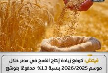إنتاج القمح في الموسم المقبل يشهد نمواً متوقعاً بنسبة تصل إلى 1.3% ، وفقًا لتقديرات مؤسسة فيتش إنتاج القمح في الموسم المقبل يشهد نمواً متوقعاً بنسبة تصل إلى 1.3% ، وفقًا لتقديرات مؤسسة فيتش