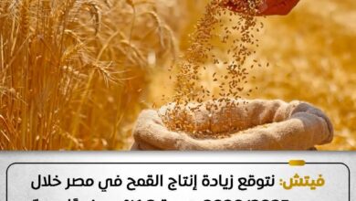 إنتاج القمح في الموسم المقبل يشهد نمواً متوقعاً بنسبة تصل إلى 1.3% ، وفقًا لتقديرات مؤسسة فيتش إنتاج القمح في الموسم المقبل يشهد نمواً متوقعاً بنسبة تصل إلى 1.3% ، وفقًا لتقديرات مؤسسة فيتش