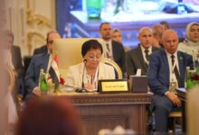  نائب وزير الصحة تشارك في الدورة السابعة للمجلس العربي للسكان والتنمية بالعراق