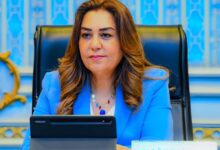 وزيرة التنمية المحلية تعلن انطلاق المرحلة الرابعة من المبادرة الرئاسية 100 مليون شجرة بالدقهلية