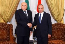 وزير الخارجية يلتقي نظيرة الجزائري