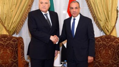 وزير الخارجية يلتقي نظيرة الجزائري