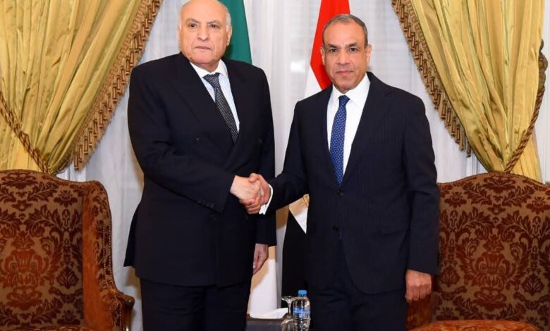 وزير الخارجية يلتقي نظيرة الجزائري