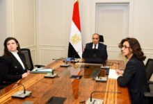 لقاء افتراضي لوزير الخارجية مع الجالية المصرية في كمبوديا وسنغافورا وتايلاند