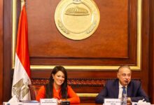 المشاط لا تراجع عن استمرار سياسات الإصلاح الاقتصادي لترسيخ الاستقرار والحفاظ على المكتسبات