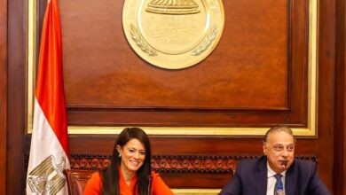 المشاط لا تراجع عن استمرار سياسات الإصلاح الاقتصادي لترسيخ الاستقرار والحفاظ على المكتسبات