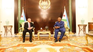 الرئيس  الجيبوتي يستقبل نائب رئيس مجلس الوزراء للتنمية الصناعية