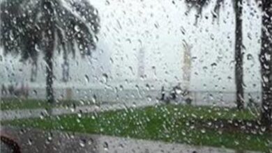 سقوط أمطار رعدية وسيول بالصعيد والبحر الأحمر وسيناء خلال ساعات سقوط أمطار رعدية وسيول بالصعيد والبحر الأحمر وسيناء خلال ساعات