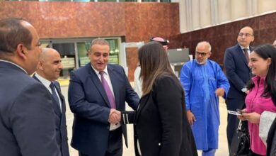 وزيرة خارجية فلسطين تصل إلى أديس أبابا في مستهل جولة أفريقية تشمل إثيوبيا وكينيا وغانا