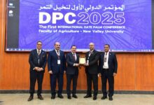 “جامعة الوادي الجديد” تسدل الستار علي اعمال المؤتمر الدولي الأول لنخيل التمر