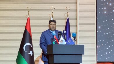 الشركات الفيتنامية تشارك في معرض “فود أفريكا 2025” في مصر