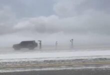 أمطار وأجراس المطر