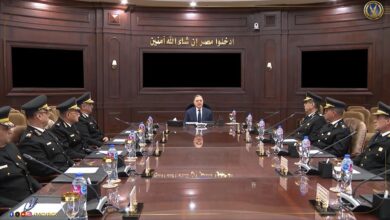 وزير الداخلية يستعرض إستراتيجية العمل الأمنى تزامناً مع بدء العام الميلادى الجديد
