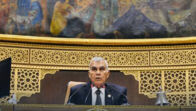 مجلس الشيوخ يقر نهائيًا تعديلات قانون الكهرباء لضبط المال العام