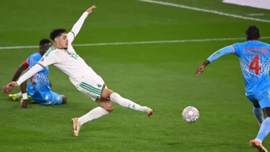 عادل بولبينا يقود الجزائر إلى ربع نهائي أمم أفريقيا بهدف قاتل