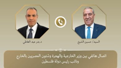 اتصال بين وزير الخارجية ونائب الرئيس الفلسطيني