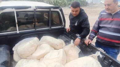 ضبط 370 كيلو جبنة غير صالحة للاستهلاك الآدمي بدمياط