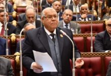 الشهابى : أي تأخير في التحرك الجاد لحماية أطفالنا على الإنترنت هو تفريط في أمن المجتمع الشهابى : أي تأخير في التحرك الجاد لحماية أطفالنا على الإنترنت هو تفريط في أمن المجتمع