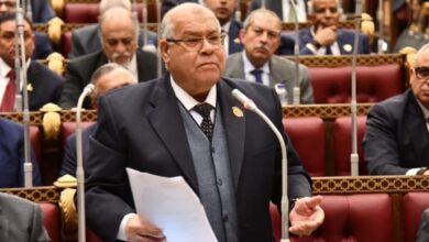 الشهابى : أي تأخير في التحرك الجاد لحماية أطفالنا على الإنترنت هو تفريط في أمن المجتمع