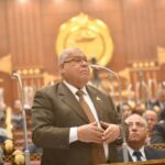 ناجى الشهابي: دعم وحدة الصومال ركيزة أساسية لحماية الأمن القومي وترسيخ التوازن الإقليمي