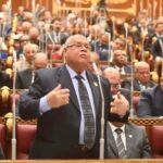 الشهابى : مكافحة مرض السرطان والعلاج على نفقة الدولة تمثلان معًا قضية أمن قومى بشرى