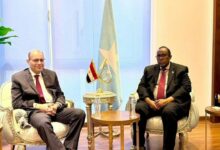 سفير الصومال بالقاهرة يشيد بالدور المصري المحوري في دعم الصومال على المستويين العربي والدولي سفير الصومال بالقاهرة يشيد بالدور المصري المحوري في دعم الصومال على المستويين العربي والدولي