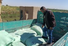 ضبط سلعًا منتهية الصلاحية و5 أطنان دقيق مدعم قبل تهريبها للسوق السوداء بالاقصر